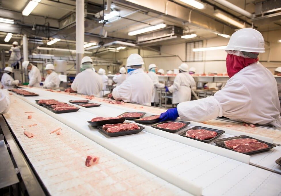 Workers handle meat organizing packing shipping loading at factory plant