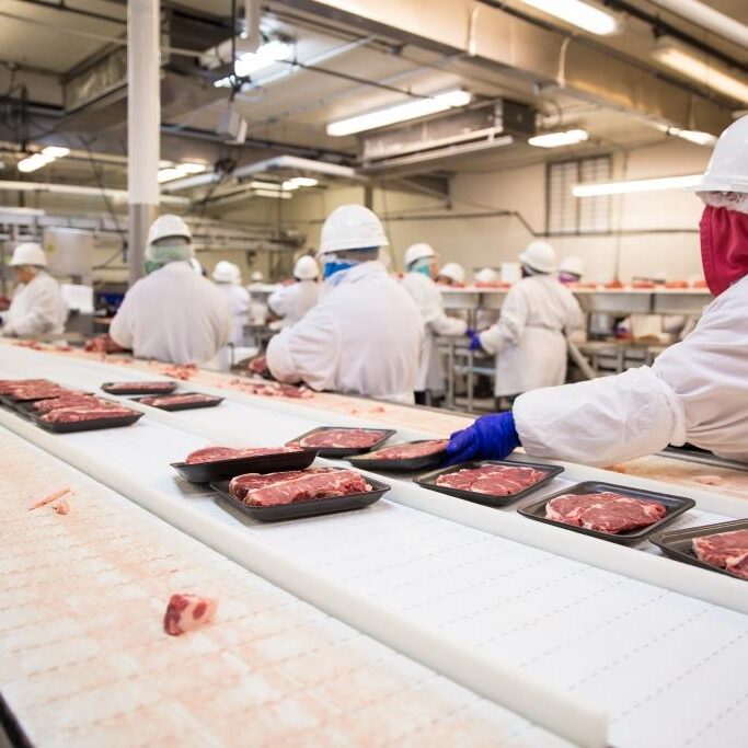 Workers handle meat organizing packing shipping loading at factory plant